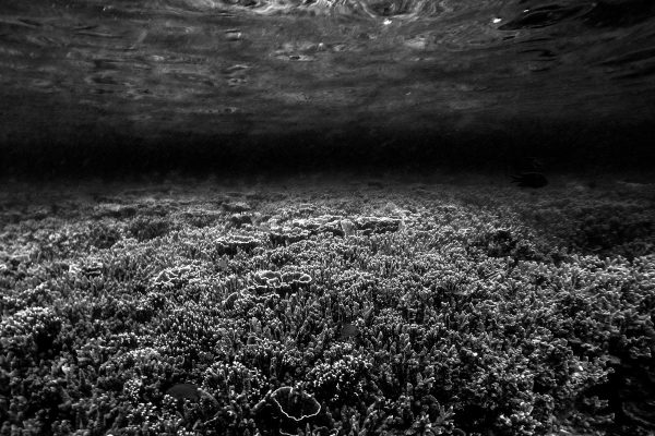 DCIM100GOPROGOPR2816.